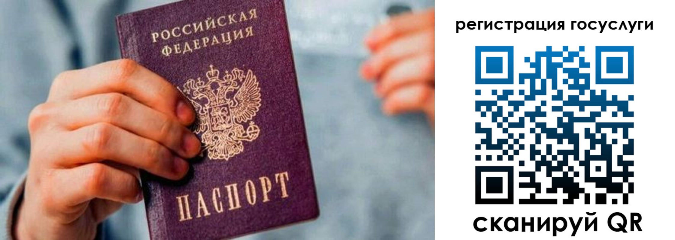 прописка законно в Бердске